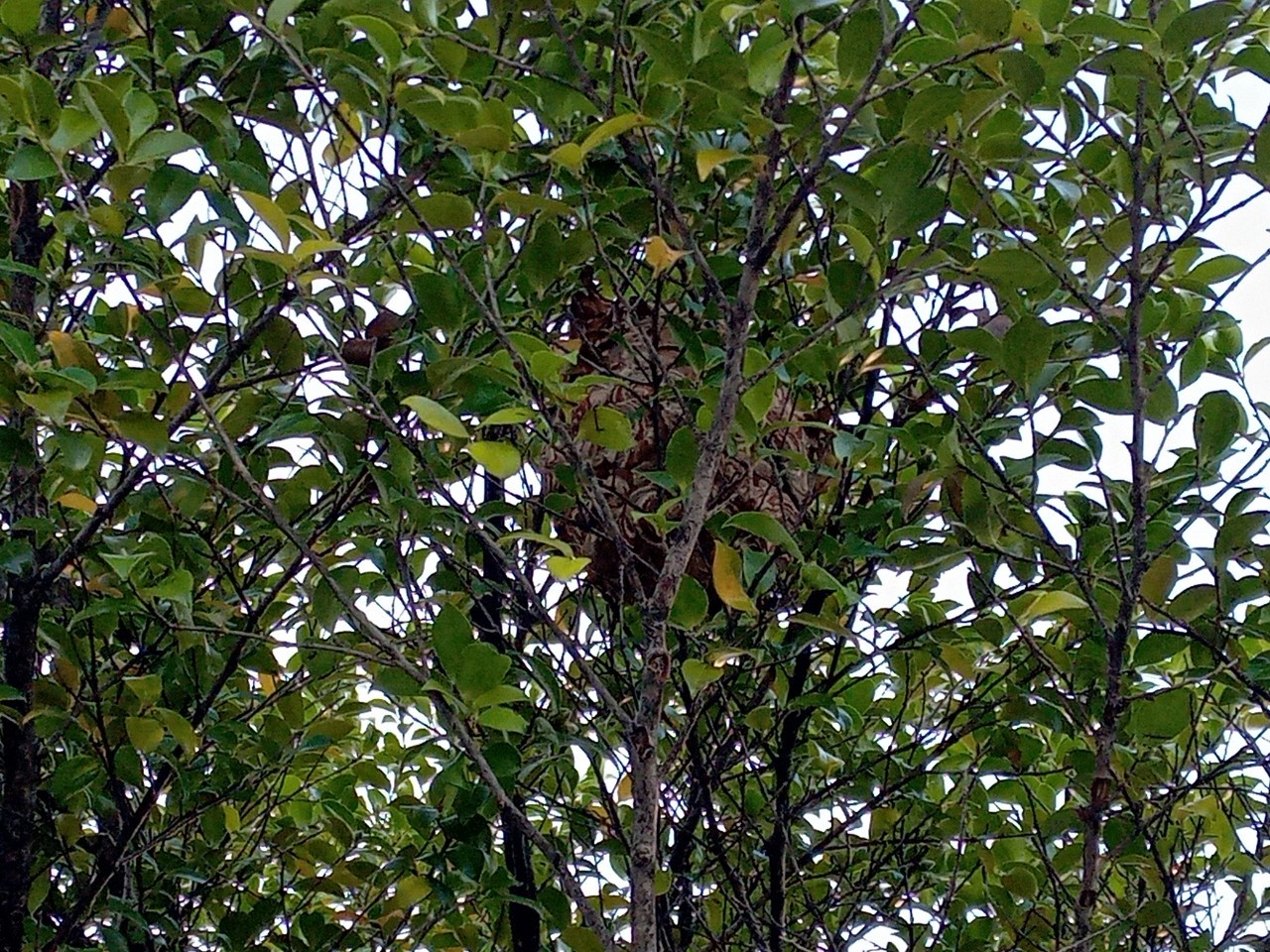 怖いです。 | 裏方(本社スタッフ)ブログ