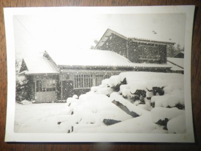 雪 | 社長ブログ