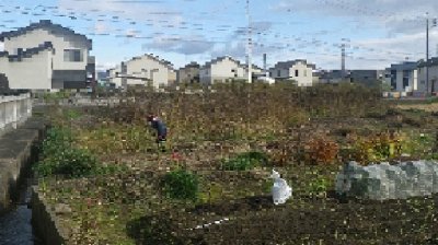 プロセスも品質 | 社長ブログ
