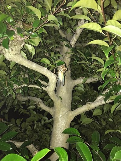 ほどほどがいい | 社長ブログ