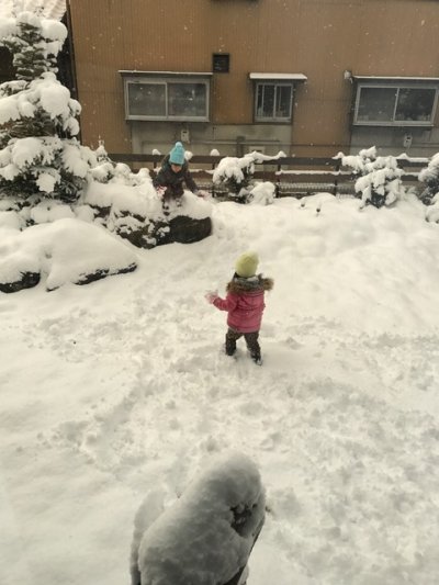 雪雪雪!! | 裏方(本社スタッフ)ブログ